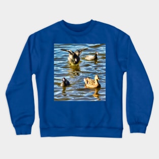 Flying belly flop Crewneck Sweatshirt